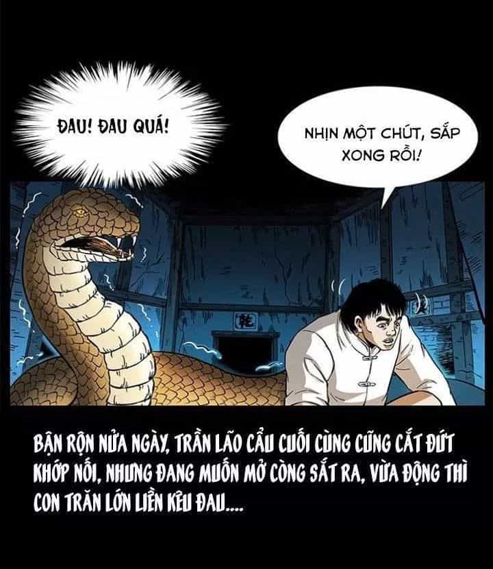 U Minh Ngụy Tượng - Chương 142 - ảnh 69