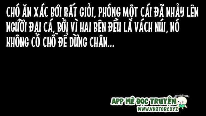 U Minh Ngụy Tượng - Chương 207 - ảnh 45