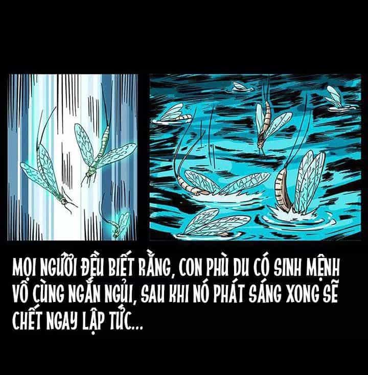 U Minh Ngụy Tượng - Chương 207 - ảnh 79