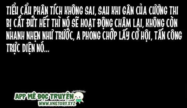 U Minh Ngụy Tượng - Chương 211 - ảnh 55