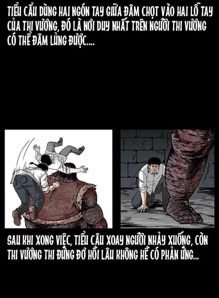 U Minh Ngụy Tượng - Chương 211 - ảnh 95