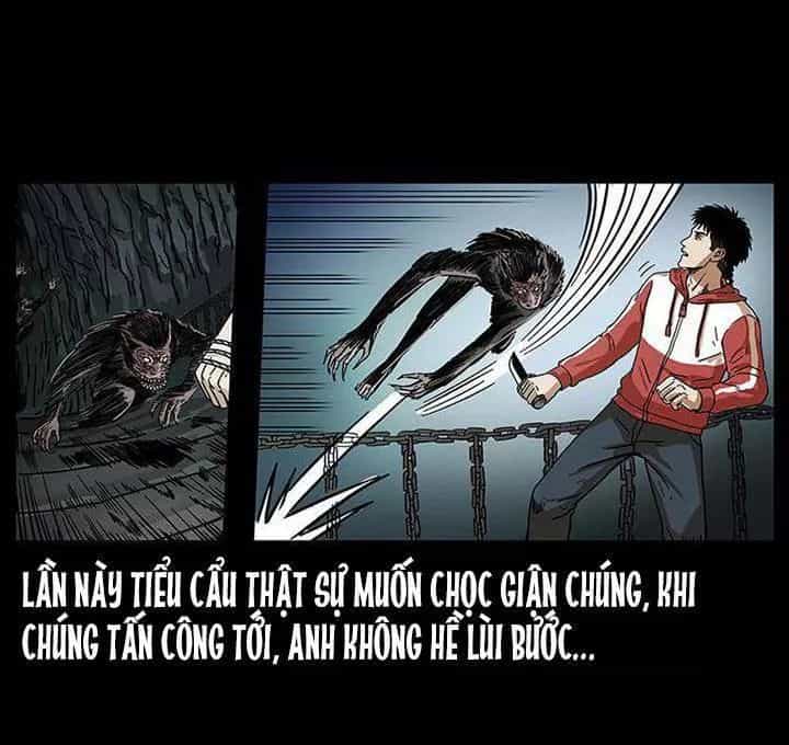 U Minh Ngụy Tượng - Chương 216 - ảnh 68