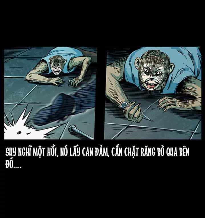 U Minh Ngụy Tượng - Chương 230 - ảnh 12