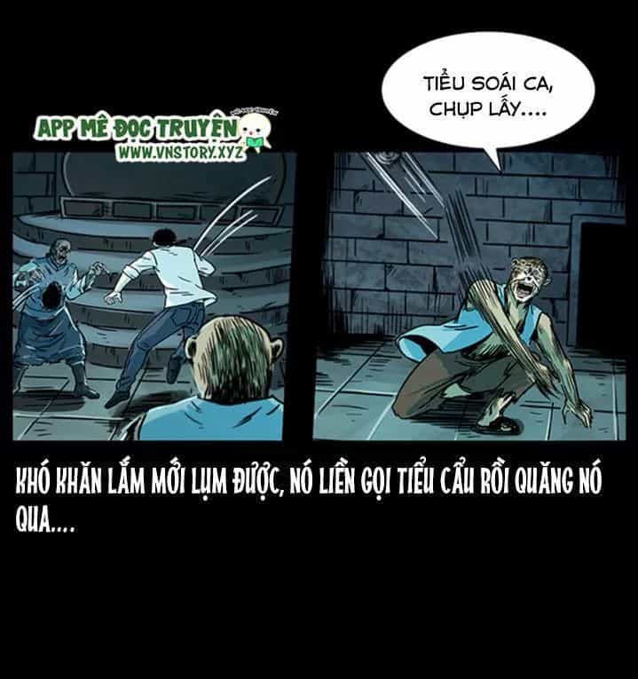U Minh Ngụy Tượng - Chương 230 - ảnh 13