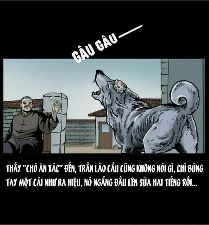 U Minh Ngụy Tượng - Chương 21 - ảnh 45
