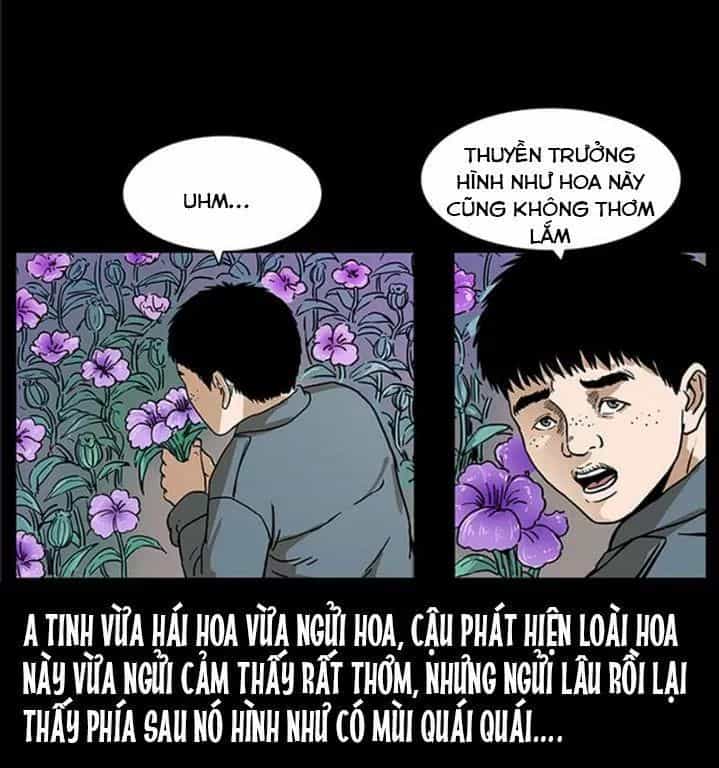 U Minh Ngụy Tượng - Chương 239 - ảnh 43