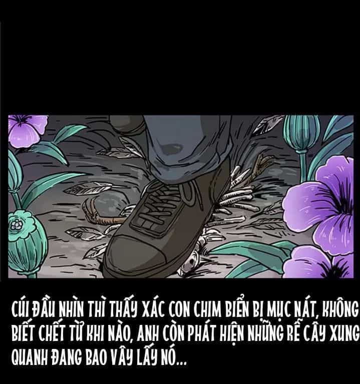 U Minh Ngụy Tượng - Chương 239 - ảnh 46