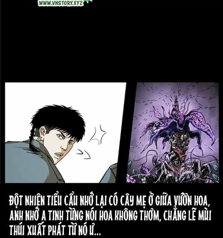 U Minh Ngụy Tượng - Chương 239 - ảnh 58