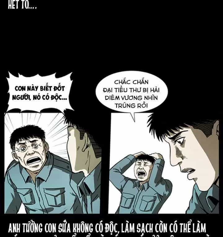 U Minh Ngụy Tượng - Chương 243 - ảnh 17