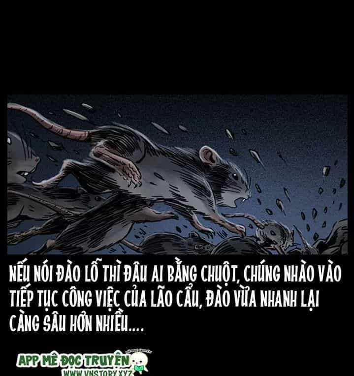 U Minh Ngụy Tượng - Chương 254 - ảnh 6