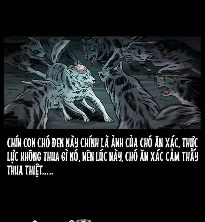 U Minh Ngụy Tượng - Chương 254 - ảnh 89