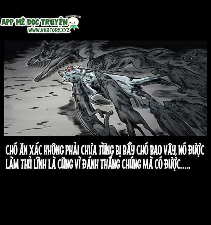 U Minh Ngụy Tượng - Chương 255 - ảnh 10