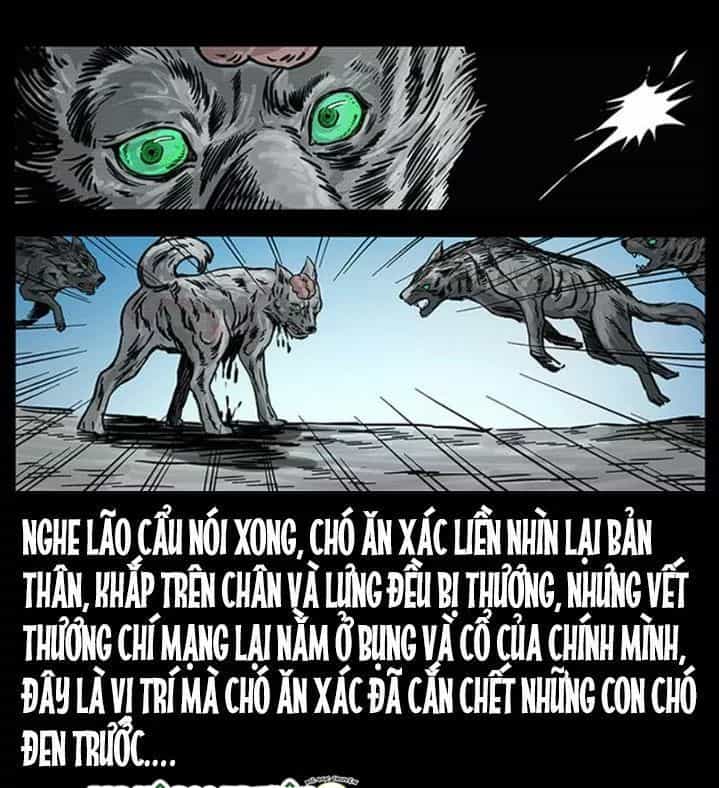 U Minh Ngụy Tượng - Chương 255 - ảnh 45
