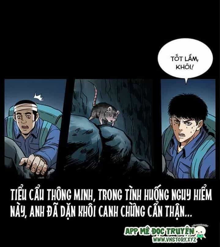 U Minh Ngụy Tượng - Chương 271 - ảnh 70