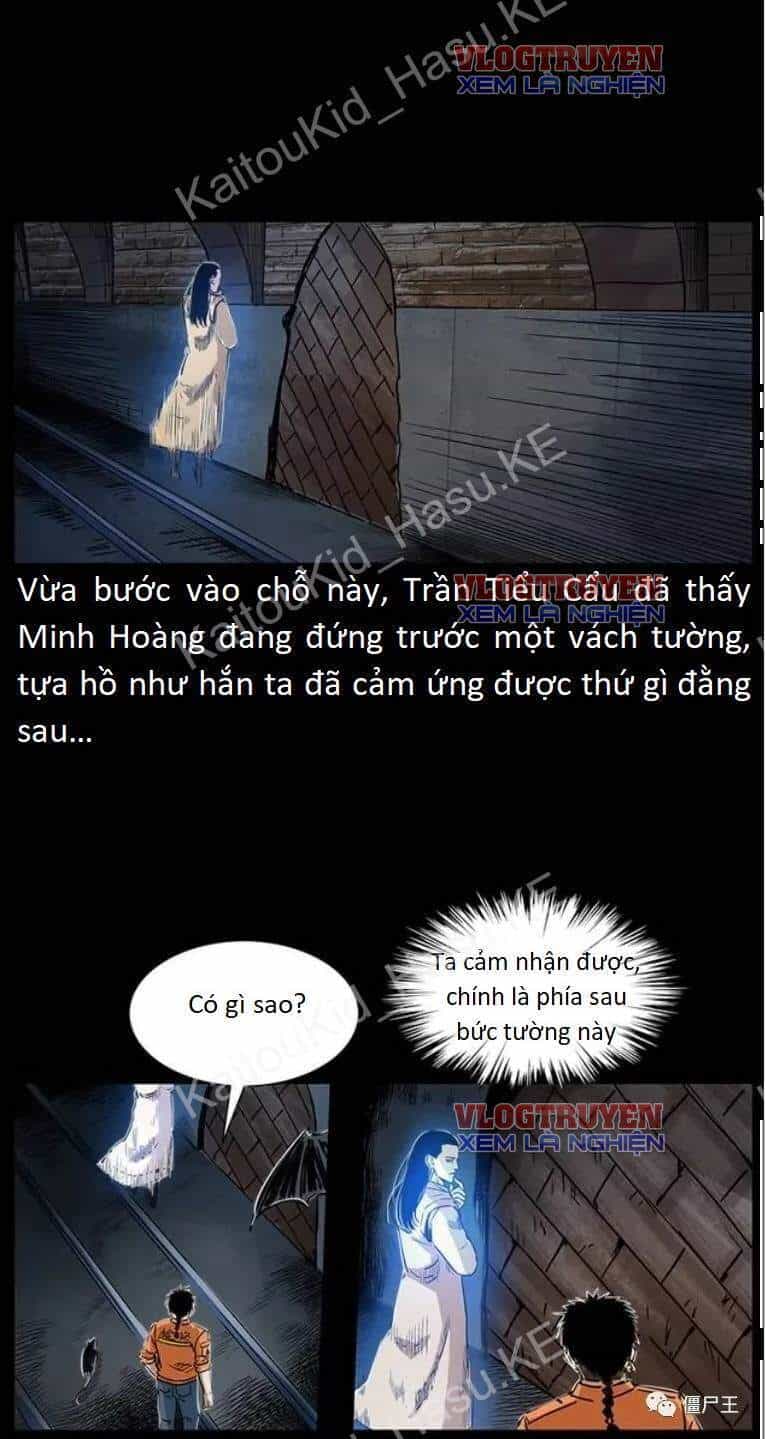 U Minh Ngụy Tượng - Chương 303 - ảnh 17
