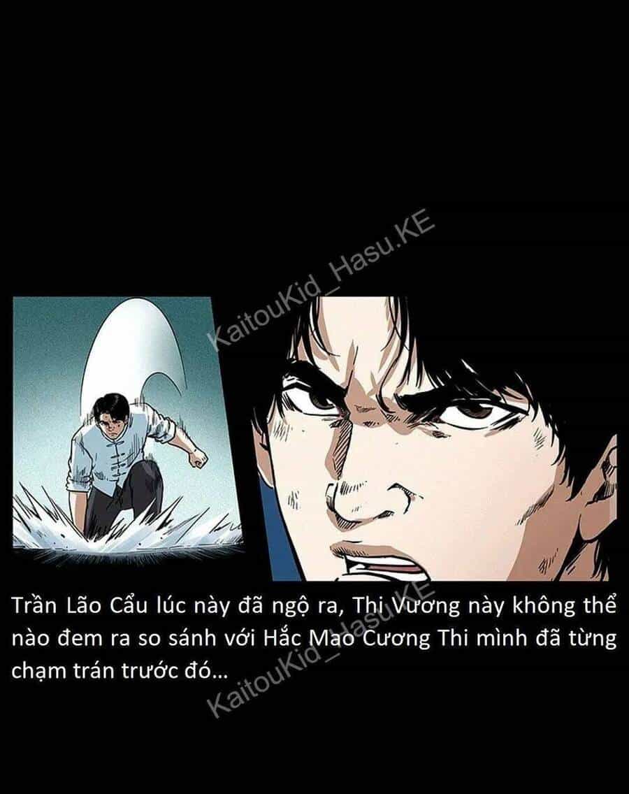 U Minh Ngụy Tượng - Chương 307 - ảnh 25