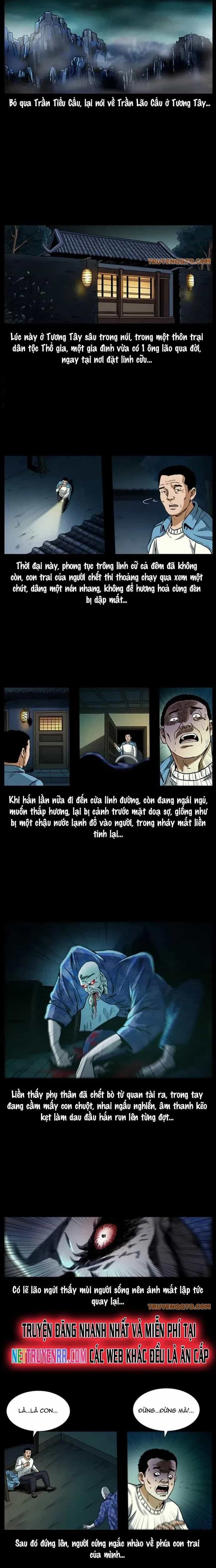 U Minh Ngụy Tượng - Chương 312 - ảnh 13