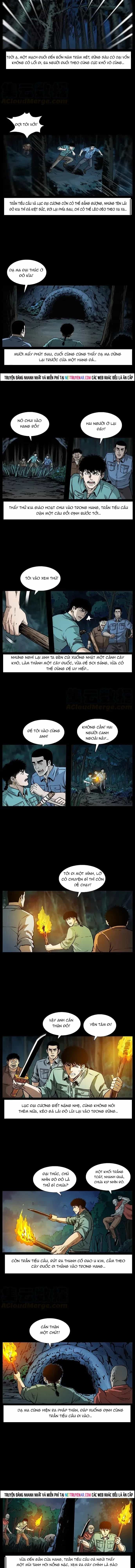 U Minh Ngụy Tượng - Chương 342 - ảnh 2