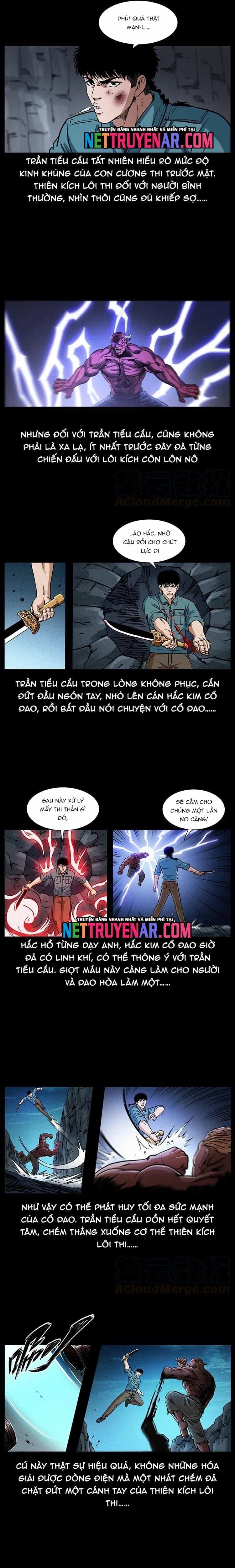 U Minh Ngụy Tượng - Chương 372 - ảnh 11
