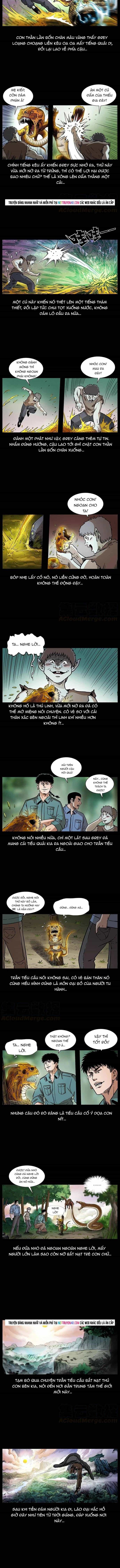 U Minh Ngụy Tượng - Chương 387 - ảnh 5