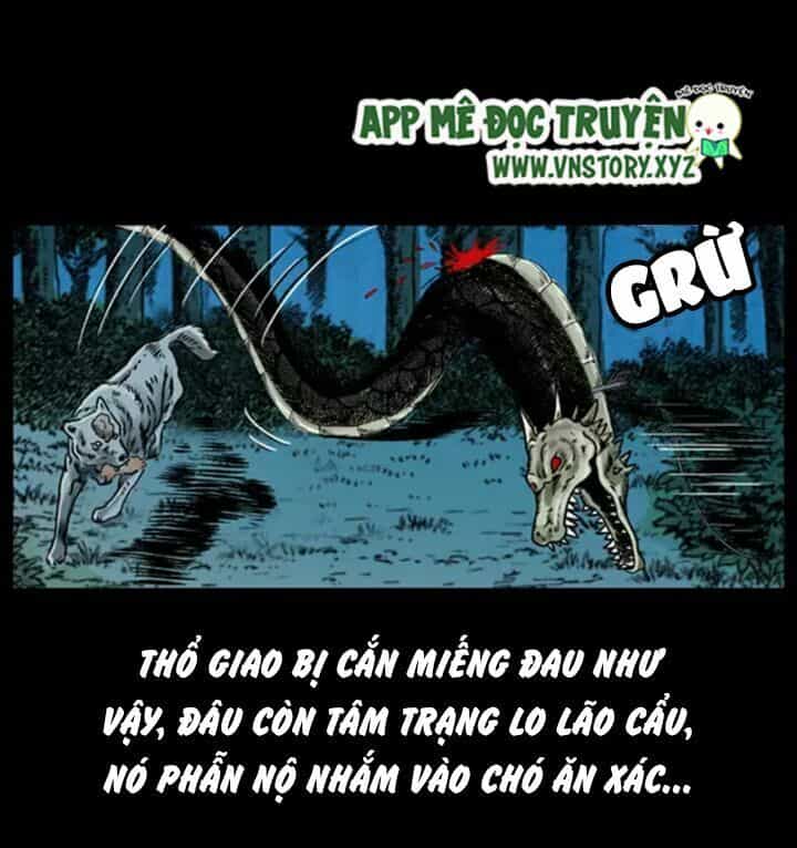 U Minh Ngụy Tượng - Chương 31 - ảnh 48