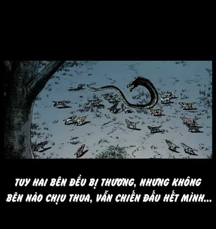 U Minh Ngụy Tượng - Chương 31 - ảnh 54