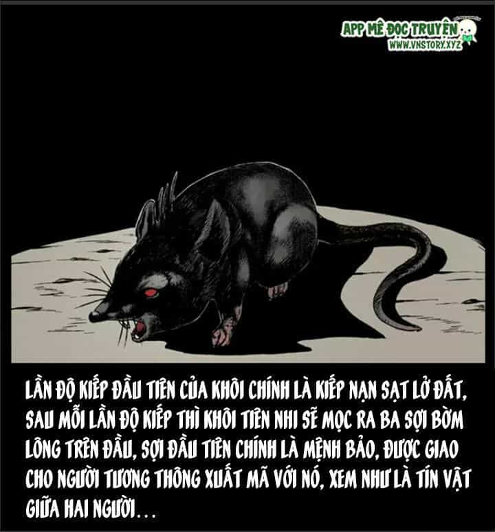 U Minh Ngụy Tượng - Chương 37 - ảnh 12