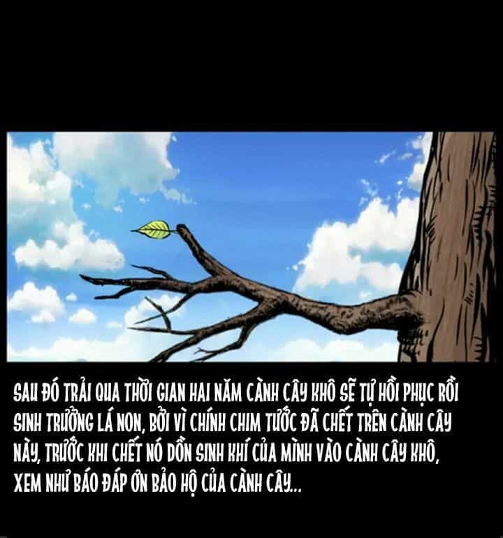 U Minh Ngụy Tượng - Chương 38 - ảnh 12