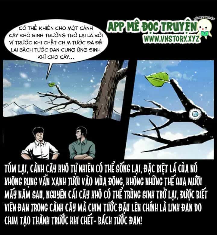 U Minh Ngụy Tượng - Chương 38 - ảnh 13