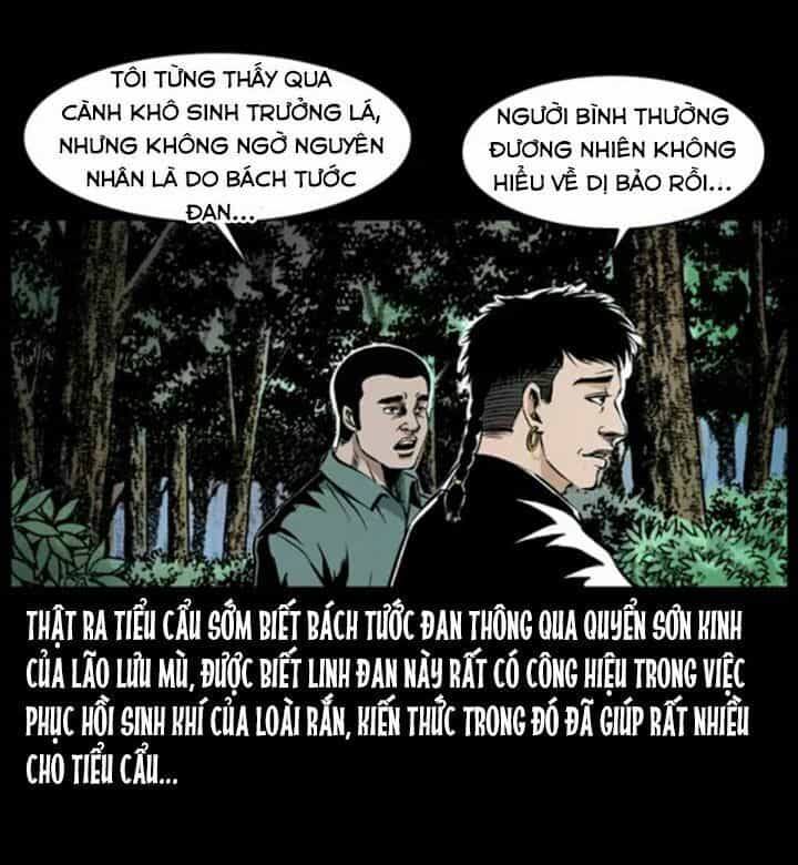 U Minh Ngụy Tượng - Chương 38 - ảnh 14