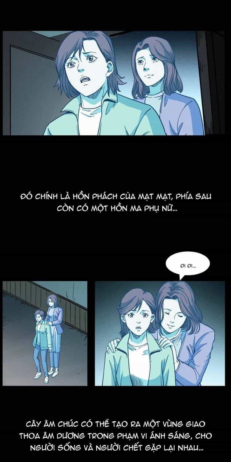U Minh Ngụy Tượng - Chương 562 - ảnh 14