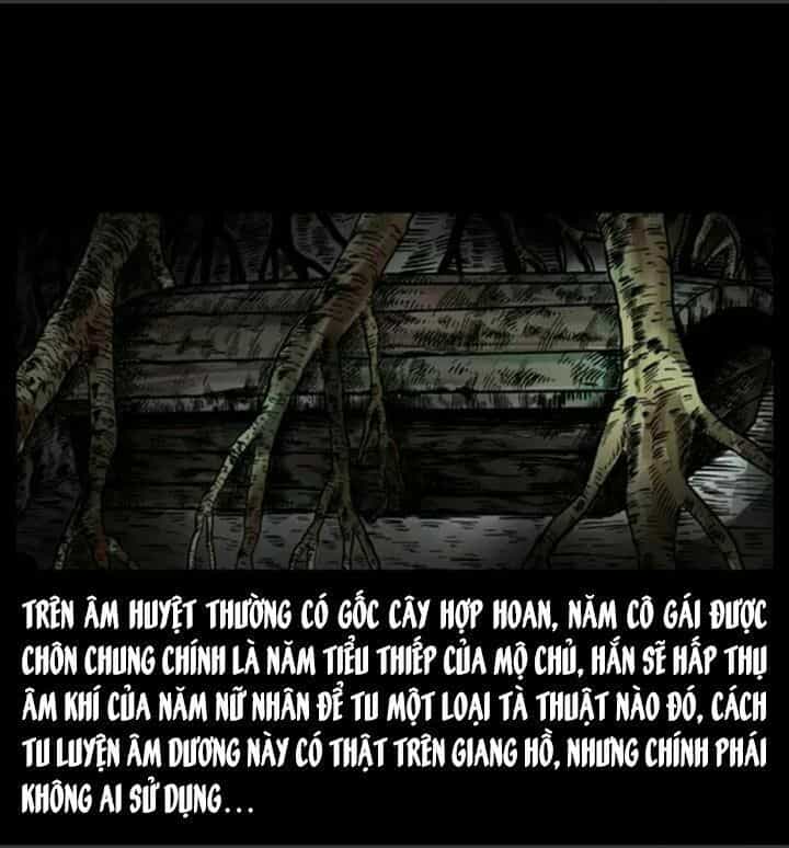 U Minh Ngụy Tượng - Chương 46 - ảnh 30
