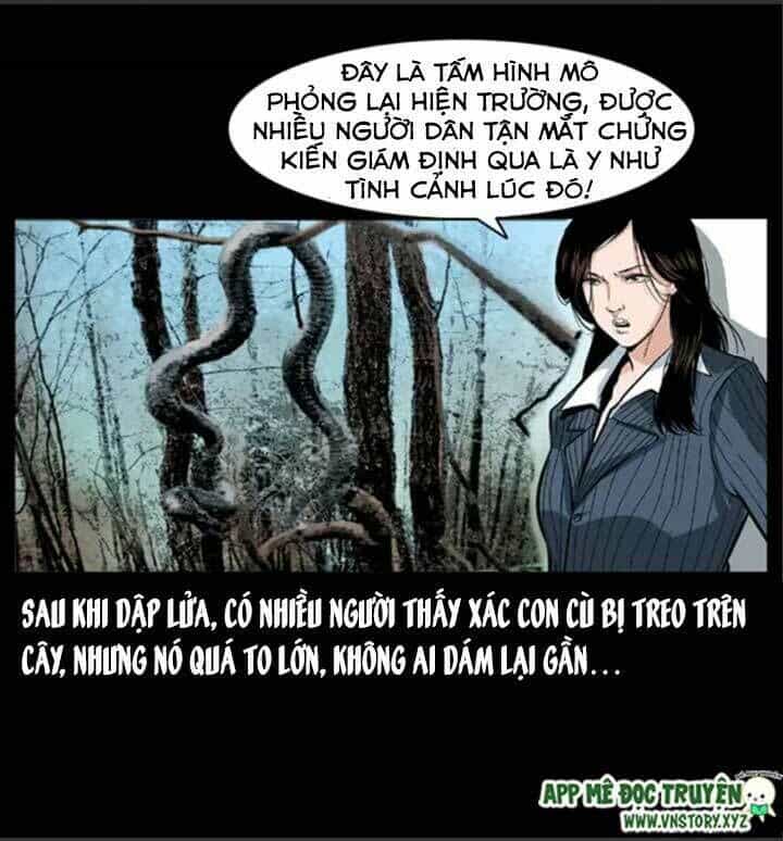 U Minh Ngụy Tượng - Chương 49 - ảnh 28