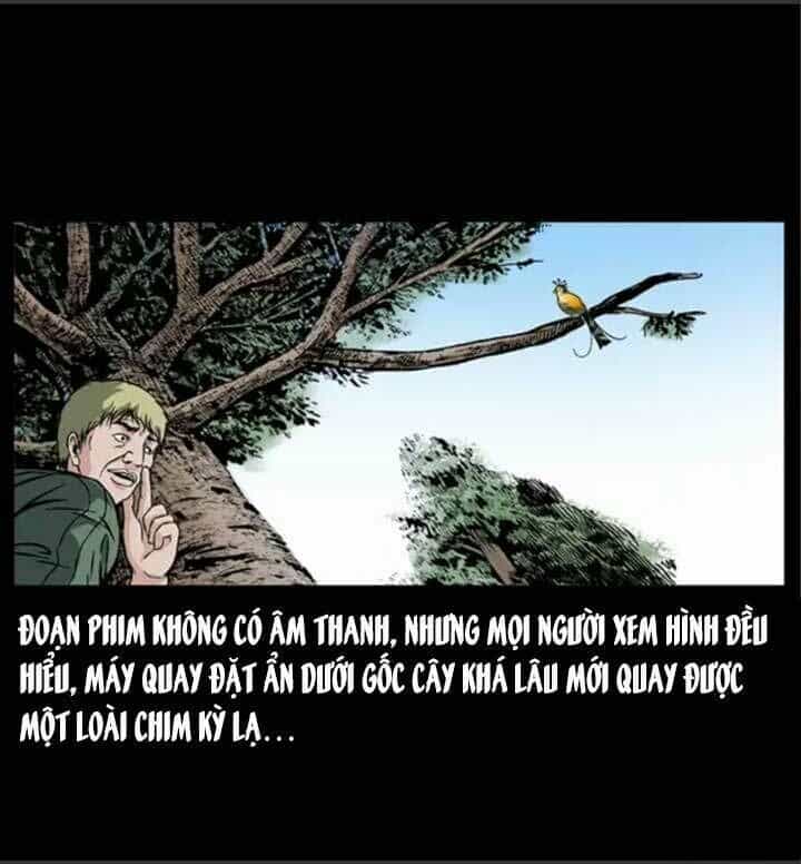 U Minh Ngụy Tượng - Chương 49 - ảnh 33