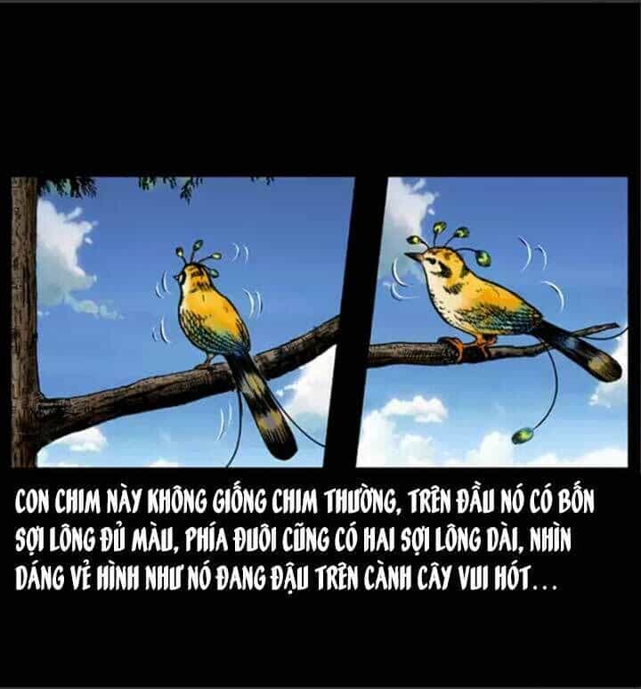 U Minh Ngụy Tượng - Chương 49 - ảnh 35