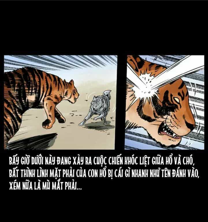 U Minh Ngụy Tượng - Chương 51 - ảnh 35