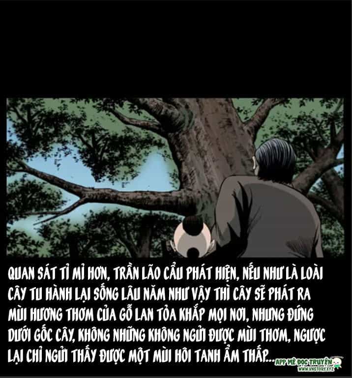U Minh Ngụy Tượng - Chương 8 - ảnh 17
