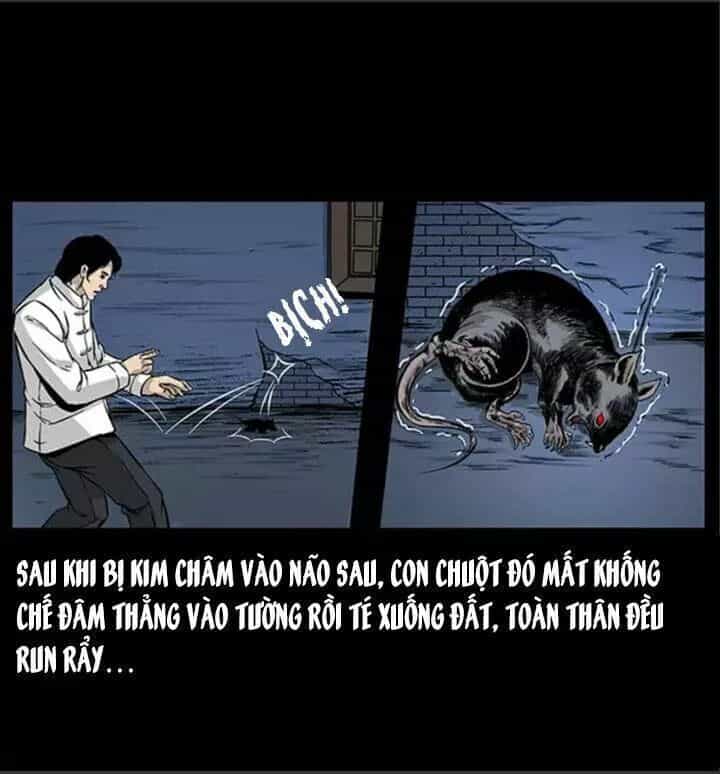 U Minh Ngụy Tượng - Chương 62 - ảnh 57