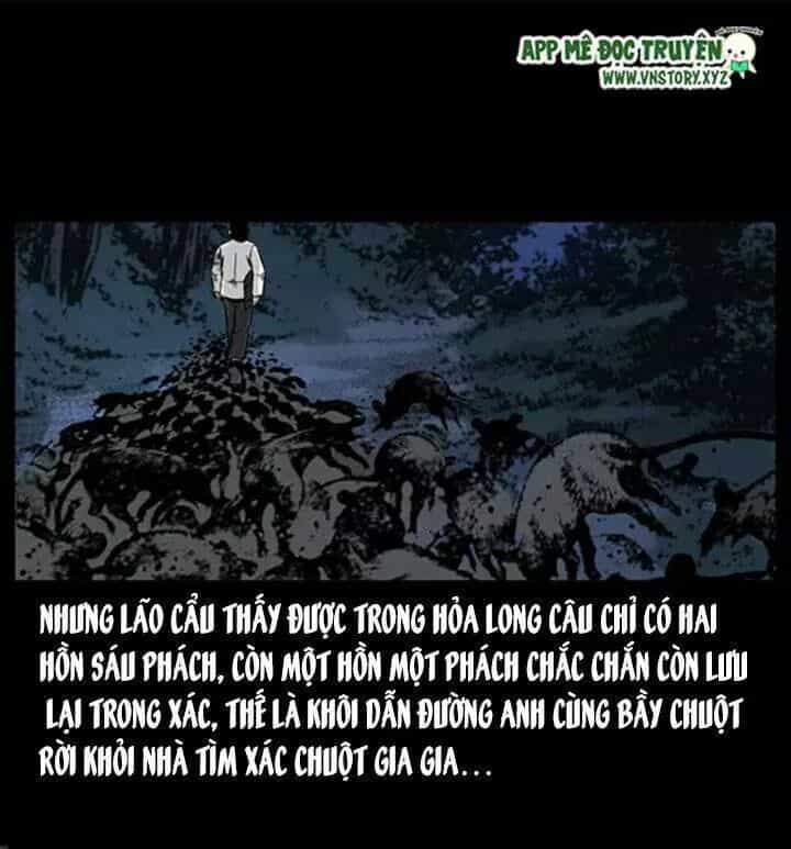 U Minh Ngụy Tượng - Chương 62 - ảnh 74