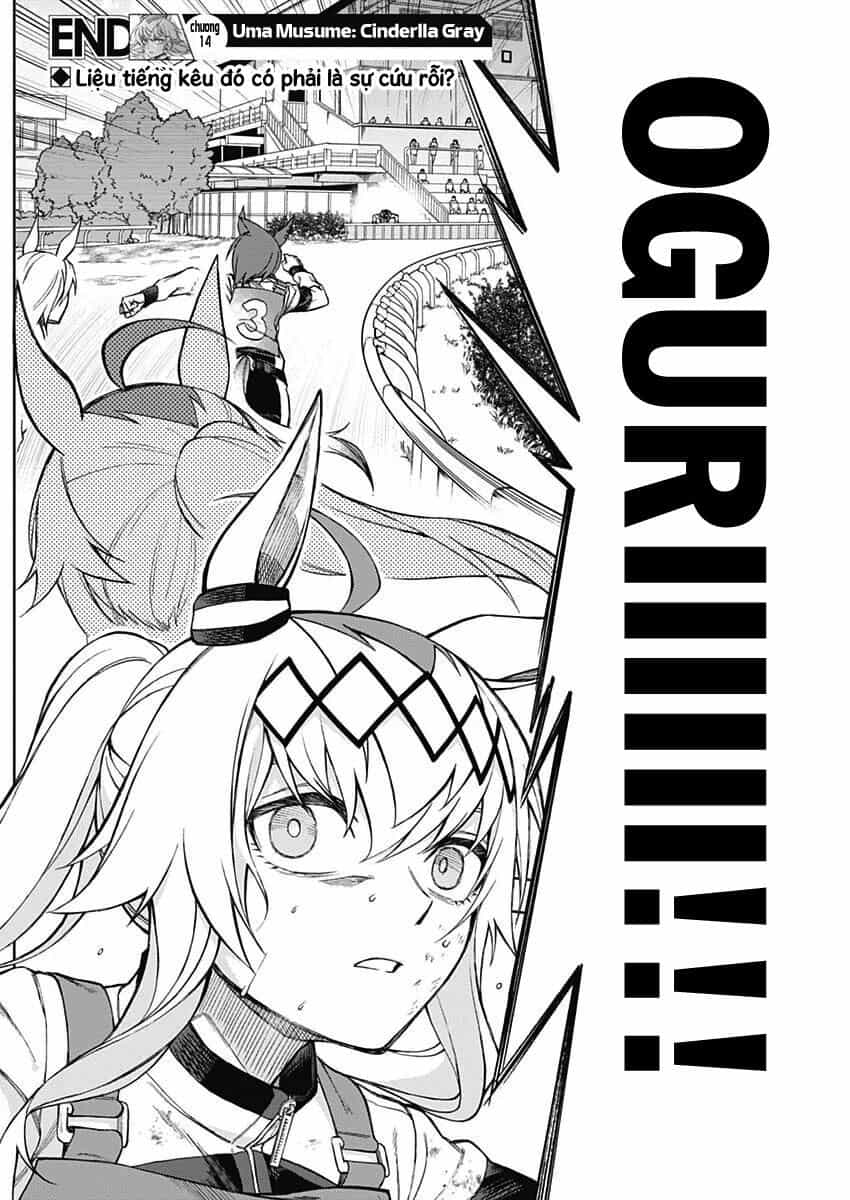 Uma Musume: Cinderella Gray - Chương 14 - ảnh 17