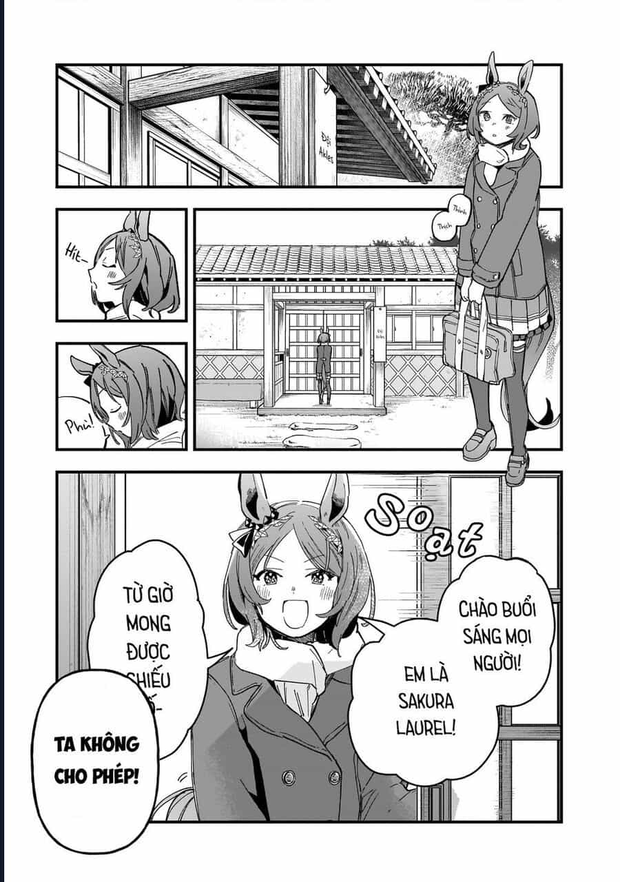Uma Musume: Pretty Derby - Star Blossom - Chương 2 - ảnh 3
