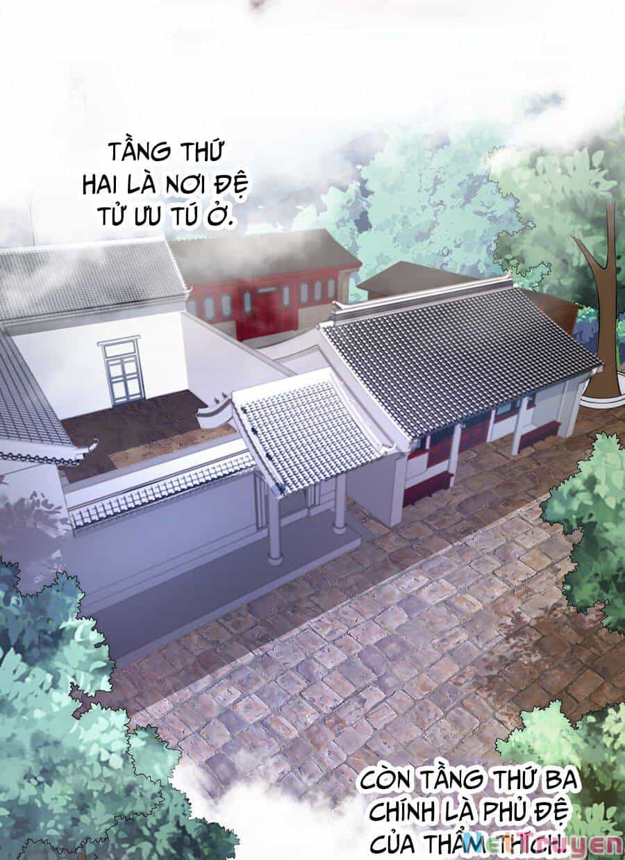 Vai Ác Sư Tôn Mang Theo Các Đồ Đệ Vô Địch Thiên Hạ - Chương 3 - ảnh 11