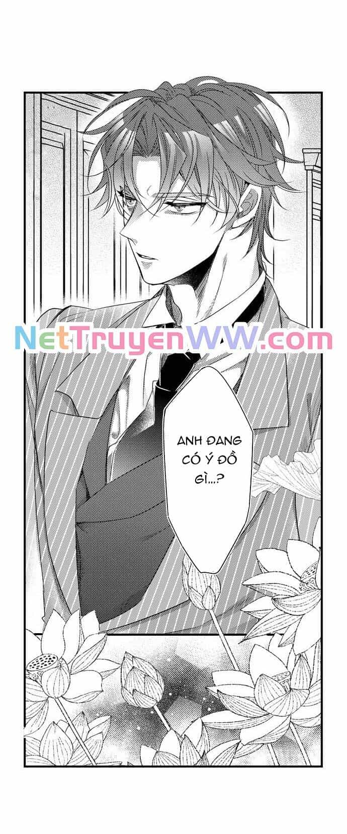 Ván Cược Tình Ái - Chương 25 - ảnh 3