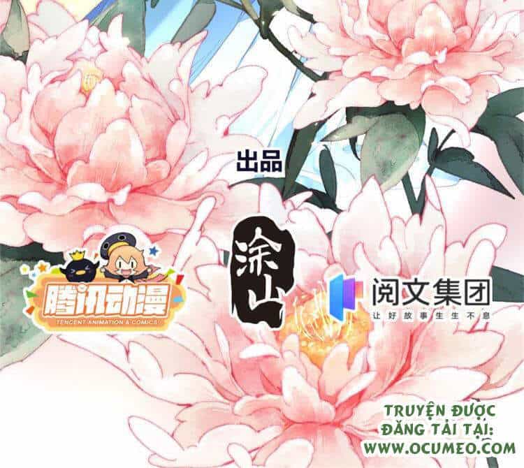 Vấn Đan Chu - Chương 17 - ảnh 2