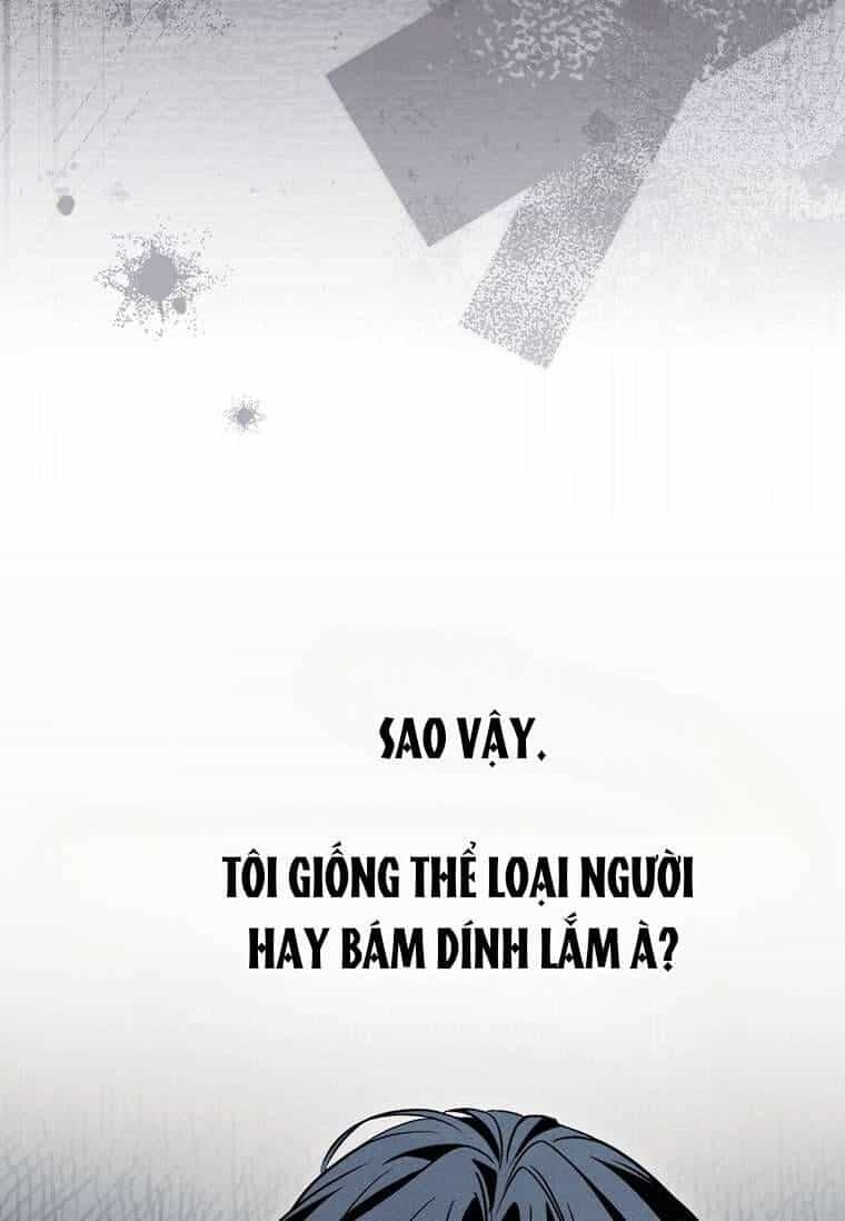 Văn Phòng Thám Tử Dành Cho Nam Chính Hối Hận! - Chương 20 - ảnh 38