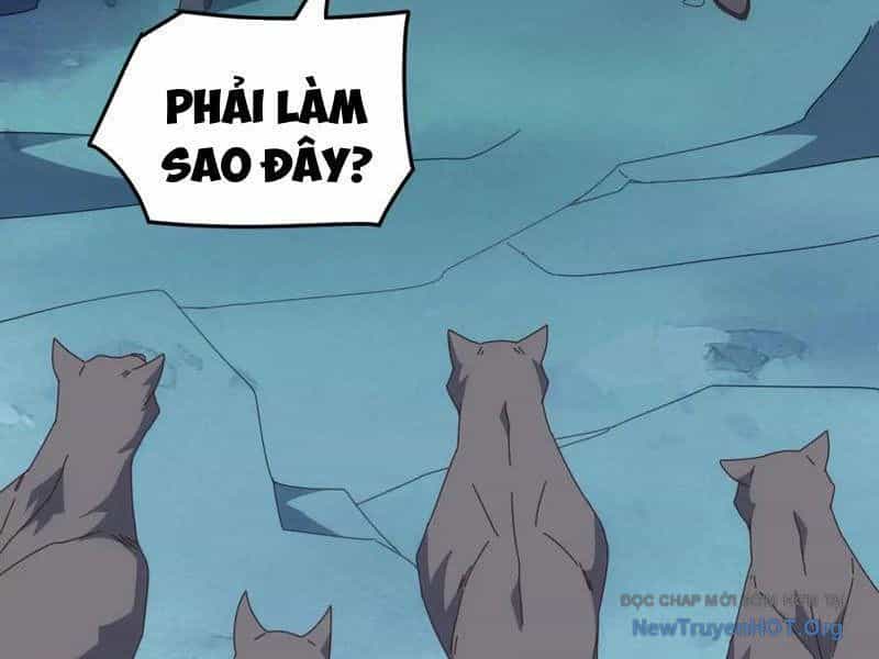 Vạn Tộc Xâm Lược :Mở Đầu Thuần Hóa Cự Thú Cấp Sử Thi - Chương 43 - ảnh 11
