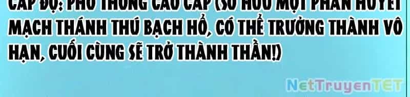Vạn Tộc Xâm Lược :Mở Đầu Thuần Hóa Cự Thú Cấp Sử Thi - Chương 9 - ảnh 84