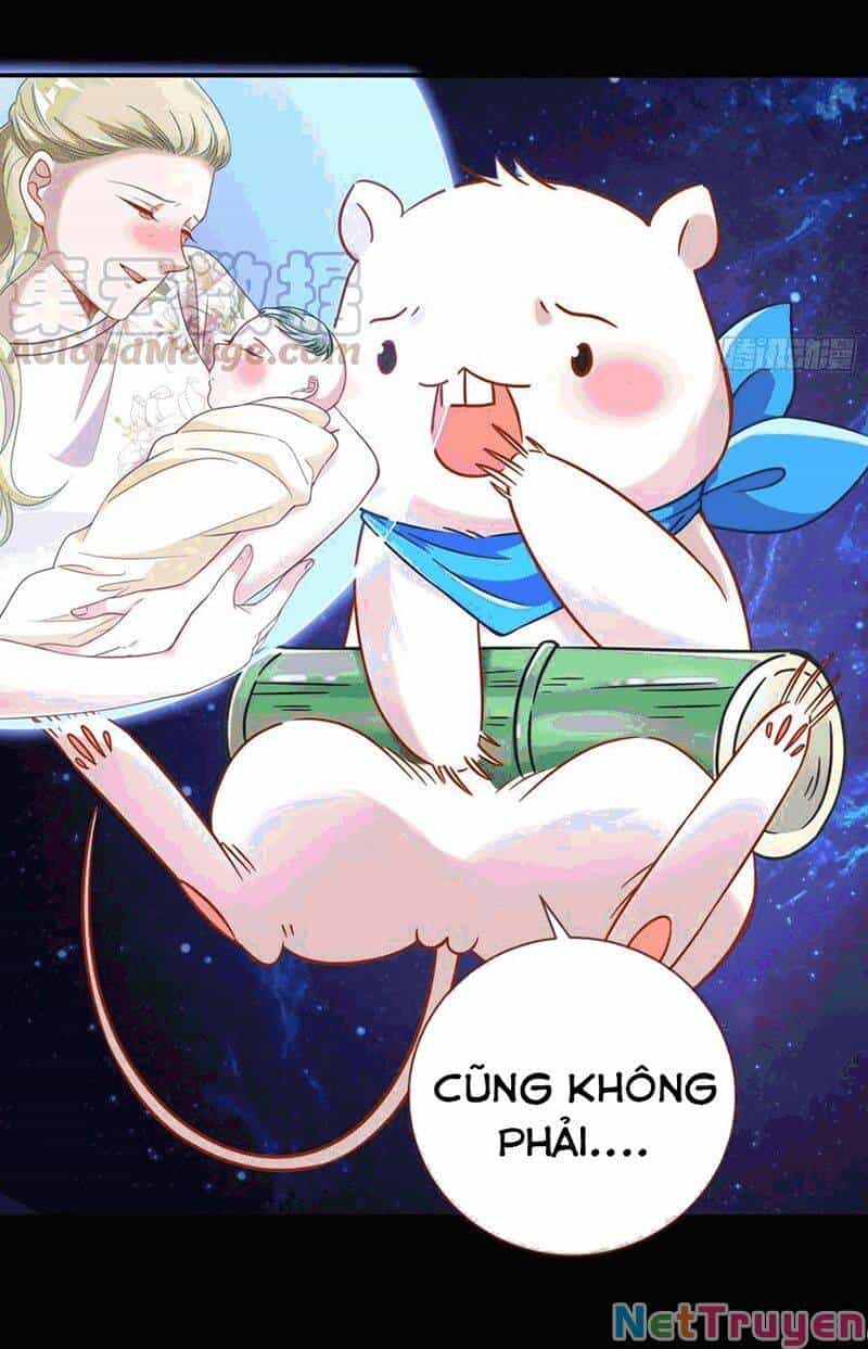 Vạn Tra Triêu Hoàng - Chương 224 - ảnh 4
