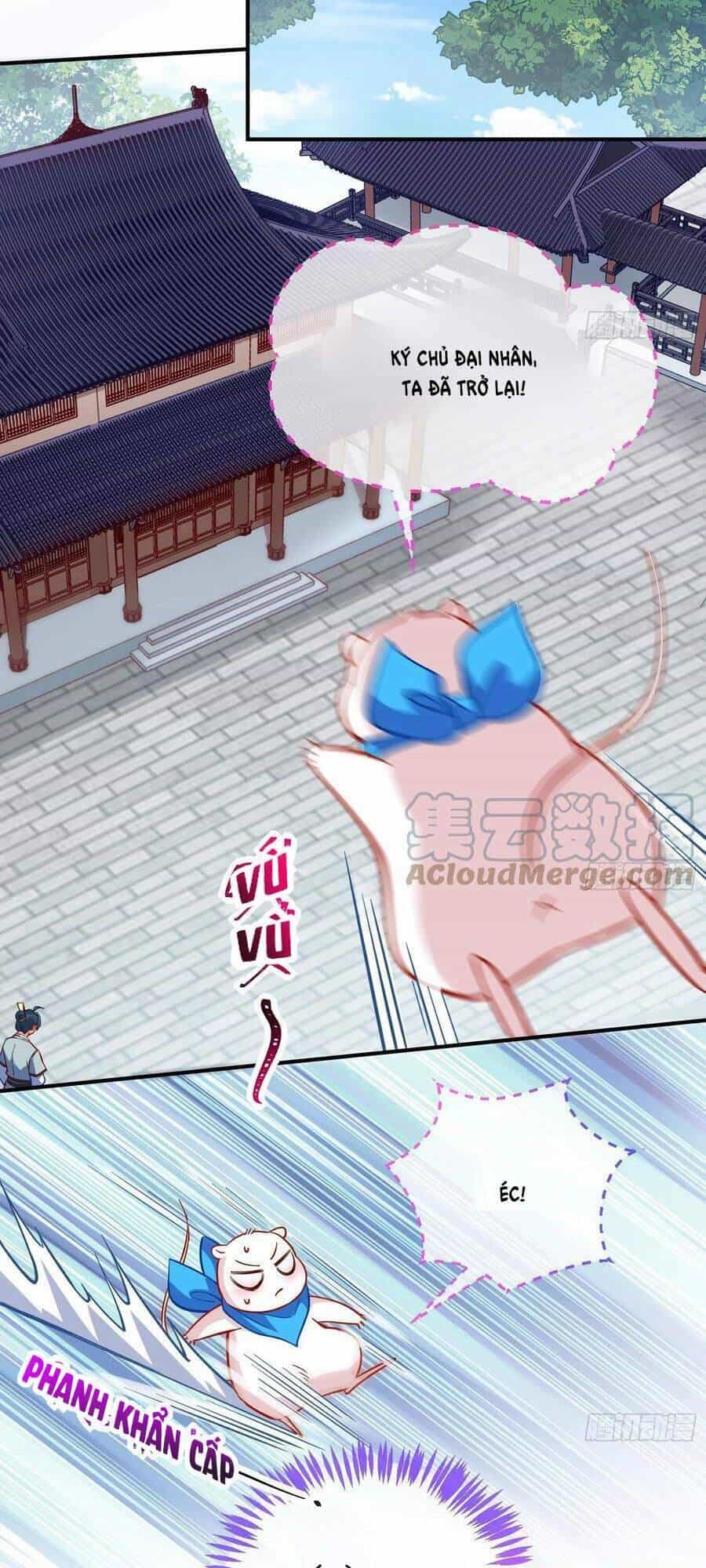 Vạn Tra Triêu Hoàng - Chương 485 - ảnh 12