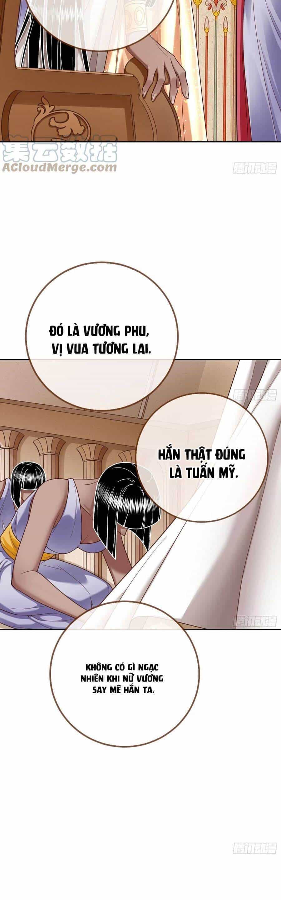 Vạn Tra Triêu Hoàng - Chương 518 - ảnh 17